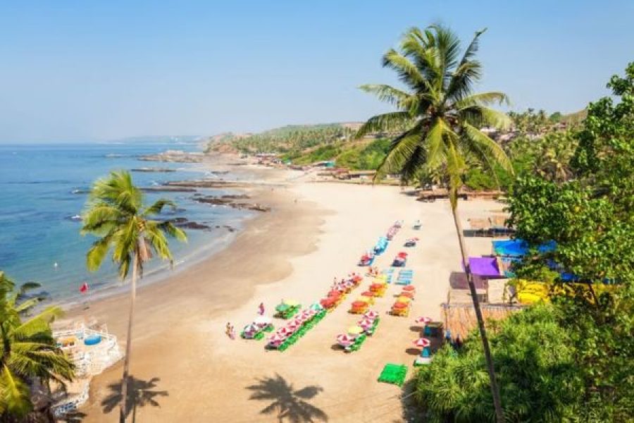 Goa Pure Veg Package