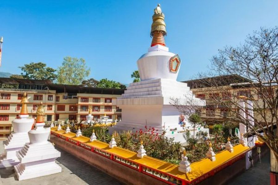 Gangtok Pelling and Darjeeling Tour