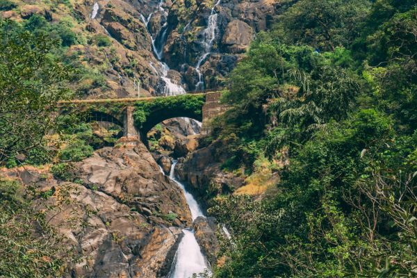 Dudhsagar Waterfall Trip By Sic Coach