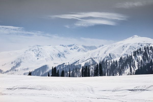 Majestic Kashmir Escapade Tour