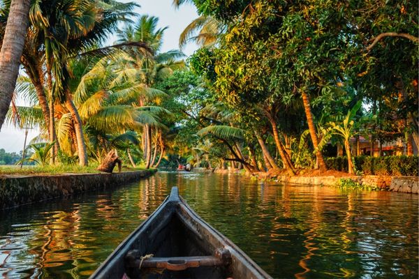 Kerala Explorer Cochin to Kovalam Tour
