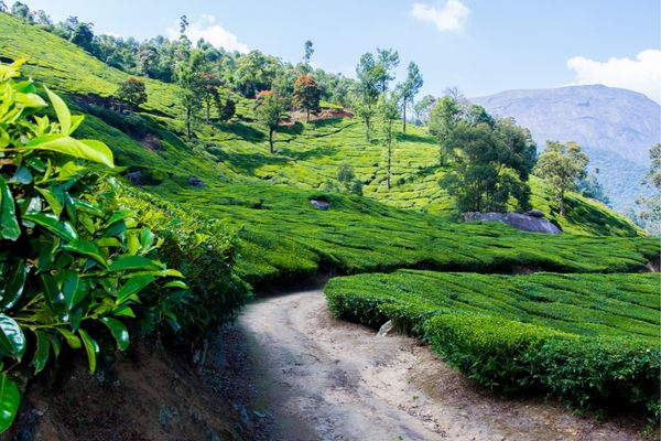 Kerala Triad Tour