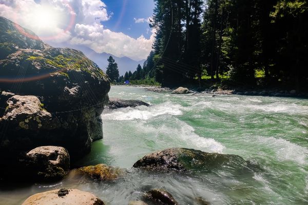 A Journey Through Paradise