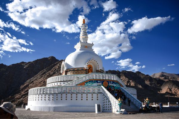Majestic Indus Ladakh Days