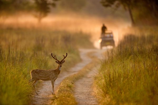 Uttarakhand Delight Tour