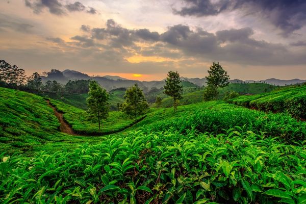 Kerala Triad Tour