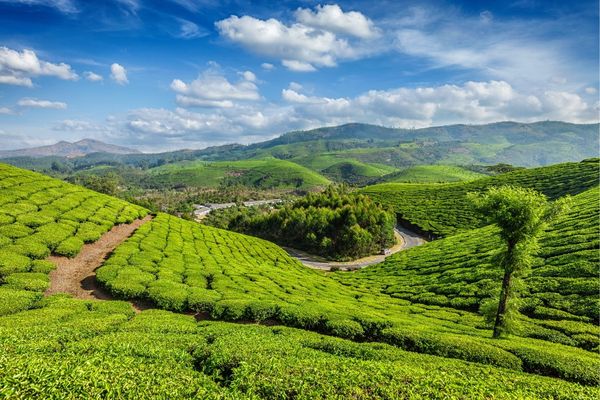 Ultimate Kerala Experience Tour