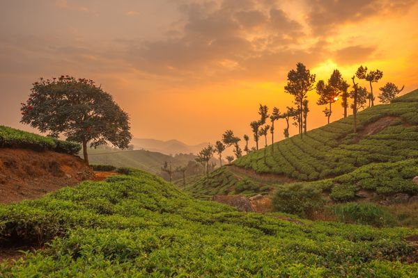 Kerala Discovery Journey