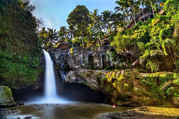 Best of Bali Experience Tour