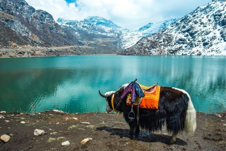 Gangtok and Darjeeling 5 Days Tour