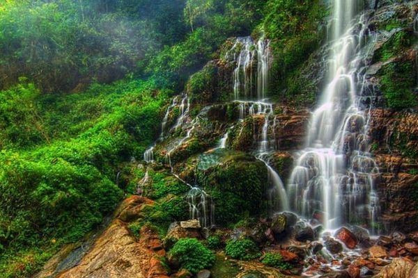 Gangtok and Pelling Tour
