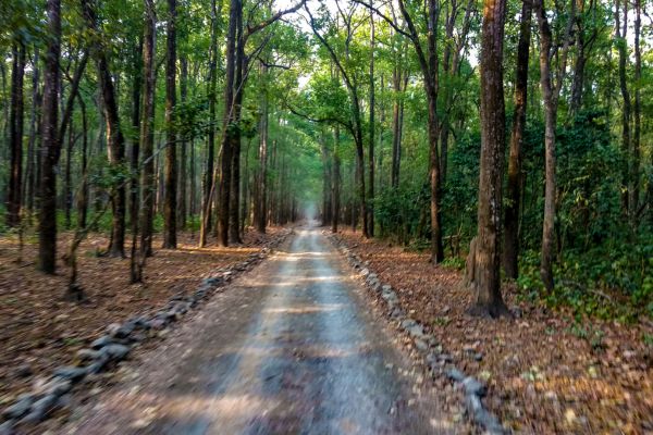 Best of Uttarakhand Tour